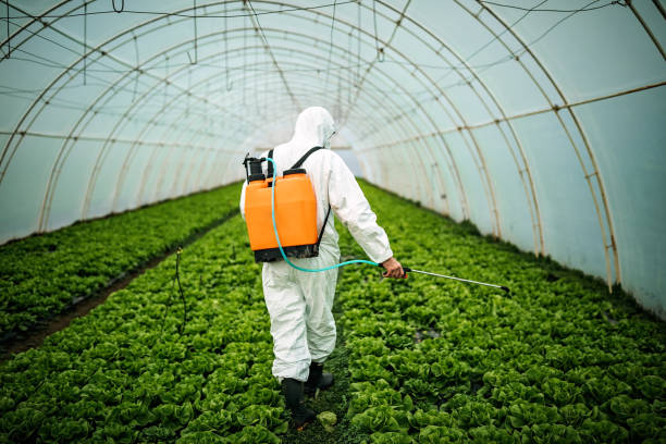 Best Pest Control for Businesses  in Northwoods, MO