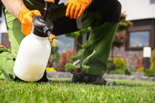 Best Affordable Pest Control Services  in Northwoods, MO