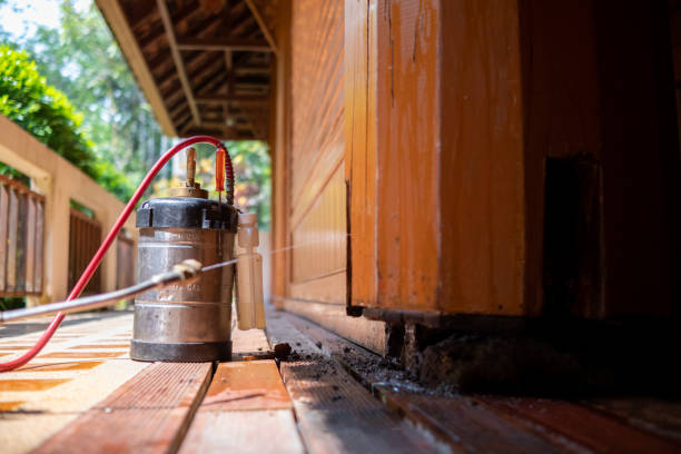 Best Local Pest Control Services  in Northwoods, MO