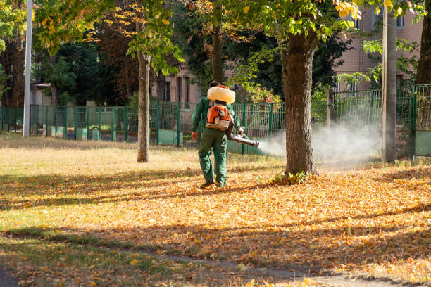 Bird Control in Northwoods, MO
